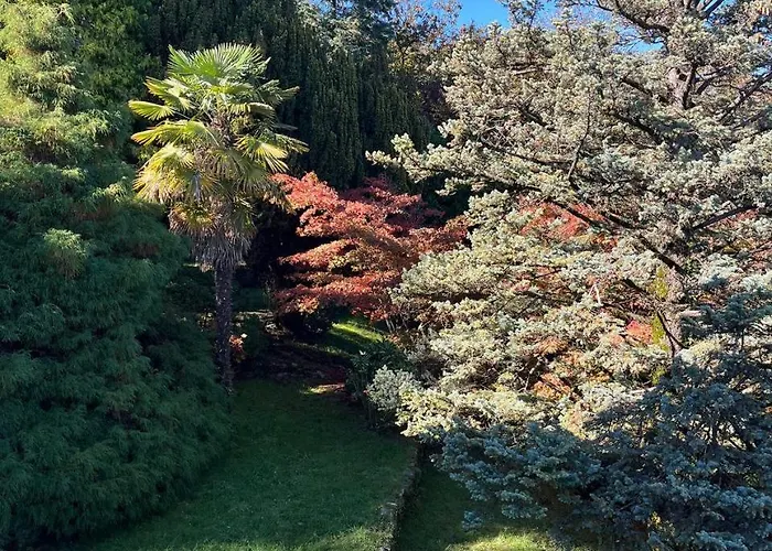 Feriehus La Mulattiera - Vista Baveno